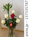 Mixed roses and lily buds bouquet. White cream and red flowers in glass vase. Fresh cut flower arrangement indoors 137335787
