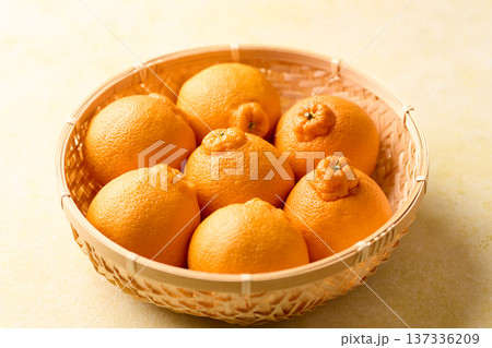 かごに盛ったデコポン かごに盛ったデコポン 137336209
