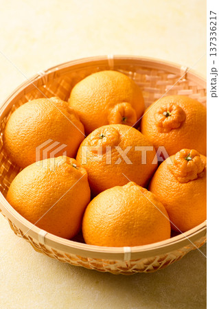 かごに盛ったデコポン かごに盛ったデコポン 137336217