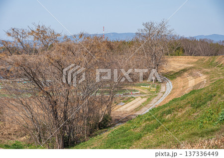 春の田園風景 京都府京田辺市 春の田園風景 京都府京田辺市 137336449