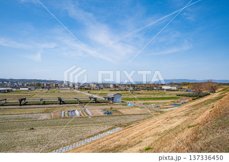 春の田園風景　京都府京田辺市 137336450
