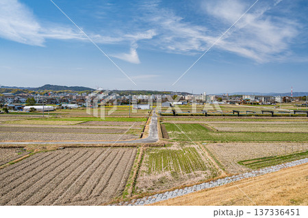 春の田園風景 京都府京田辺市 春の田園風景 京都府京田辺市 137336451