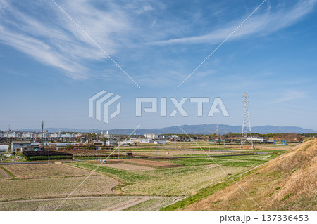 春の田園風景 京都府京田辺市 春の田園風景 京都府京田辺市 137336453