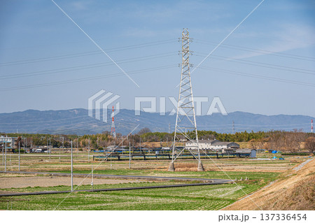 春の田園風景　京都府京田辺市 137336454