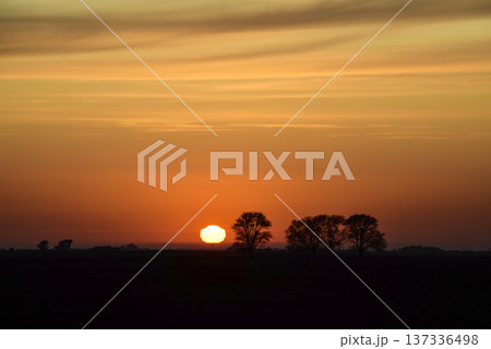 Rural sunset landscape, Buenos Aires province , Argentina 137336498