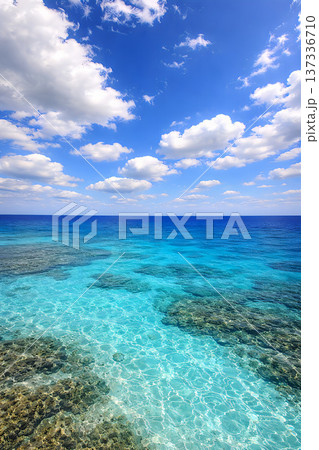 青空とサンゴ礁が広がる南国の海 137336710