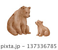 Bear mother and cub, cute watercolour isolated illustration, wildlife animal family scene. 137336785