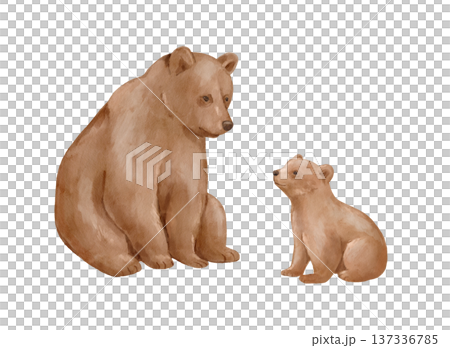 Bear mother and cub, cute watercolour isolated illustration, wildlife animal family scene. 137336785