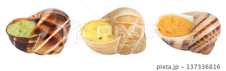 escargot snail filled with different fillings isolated on white background escargot snail filled with different fillings isolated on white background 137336816