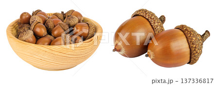 Brown acorn oak nut in wooden bowl isolated on white background. Top view. Flat lay 137336817