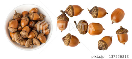 Brown acorn oak nut in ceramic bowl isolated on white background. Top view. Flat lay 137336818