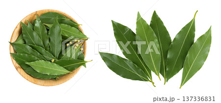 Fresh Laurel leaves in wooden bowl isolated on white background. Green bay leaf. Top view. Flat lay. Fresh Laurel leaves in wooden bowl isolated on white background. Green bay leaf. Top view. Flat lay. 137336831
