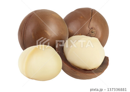 macadamia nuts isolated on white background with full depth of field macadamia nuts isolated on white background with full depth of field 137336881