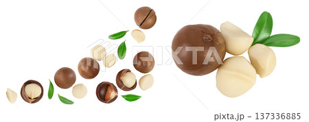 macadamia nuts isolated on white background. Top view with copy space for your text.. Flat lay. macadamia nuts isolated on white background. Top view with copy space for your text.. Flat lay. 137336885