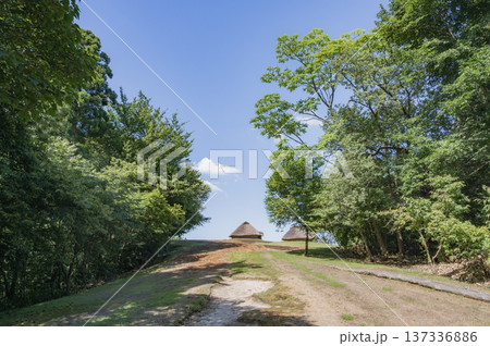 新潟　古津八幡山遺跡 137336886