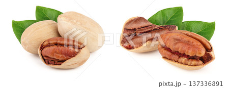 Three pecan nuts isolated on white background 137336891