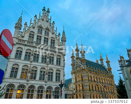Illuminated Facade of the City Hall in Leuven on the Grote Markt on nighttime 137337012