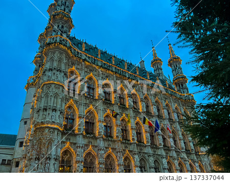 Historical european cityscape in Leuven, Belgium with flags and banners 137337044