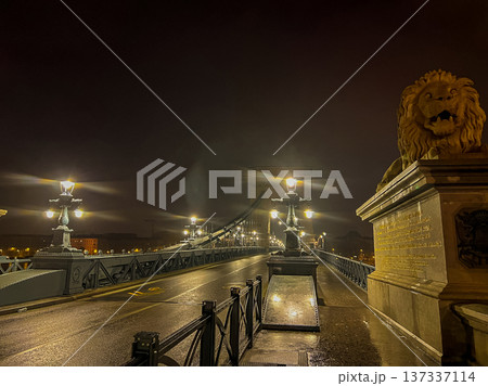 Night photography at the Chain Bridge in Budapest, with lion statues, Hungary 137337114