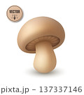 Vector 3d Champignon Mushroom Isolated. Realistic 3D Champignon Mushroom Vector Illustration. Beige Button Mushroom Icon Isolated. Food Design Template, Grocery Packaging. Mushroom Clipart 137337146