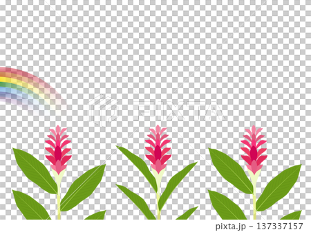 レッドジンジャーの花と虹が描かれた装飾的な背景 137337157
