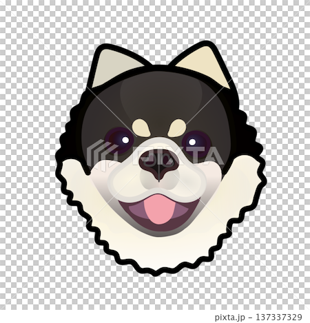 Pomeranian face illustration Pomeranian face illustration 137337329