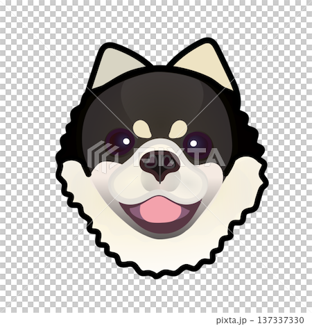 博美犬臉部插圖 博美犬臉部插圖 137337330