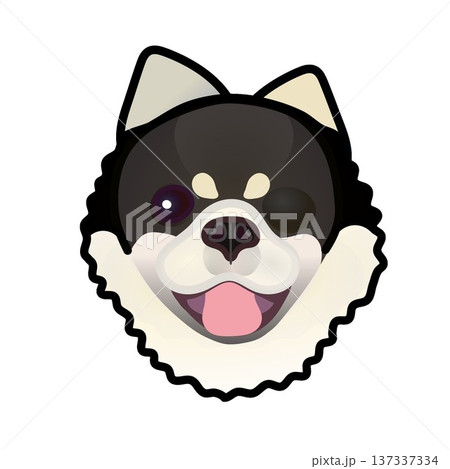 ポメラニアンの顔イラスト ポメラニアンの顔イラスト 137337334