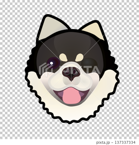 博美犬臉部插圖 博美犬臉部插圖 137337334