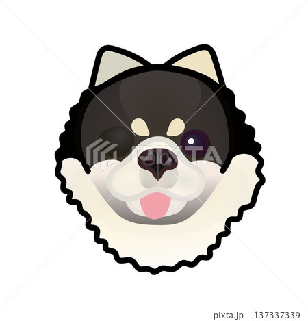ポメラニアンの顔イラスト ポメラニアンの顔イラスト 137337339
