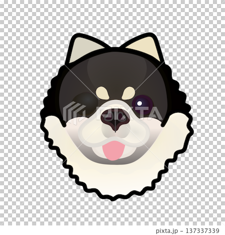 博美犬臉部插圖 博美犬臉部插圖 137337339