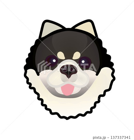 ポメラニアンの顔イラスト 137337341