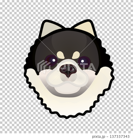 博美犬臉部插圖 博美犬臉部插圖 137337343