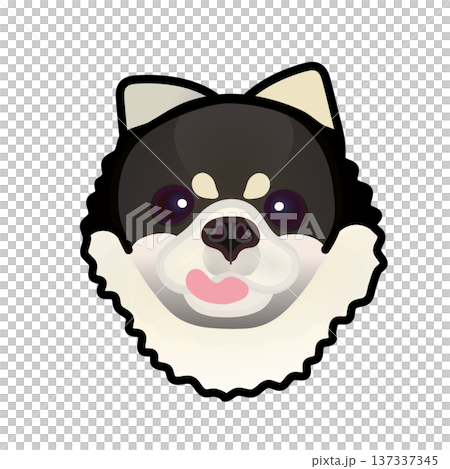 博美犬臉部插圖 博美犬臉部插圖 137337345