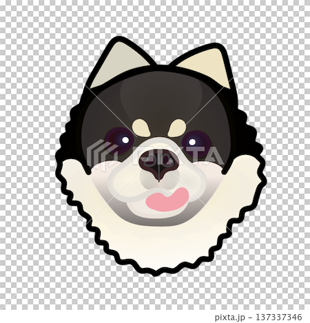 博美犬臉部插圖 博美犬臉部插圖 137337346