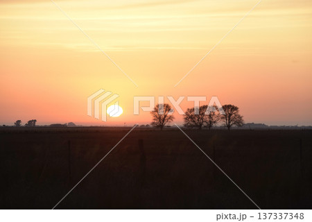 Rural sunset landscape, Buenos Aires province , Argentina 137337348