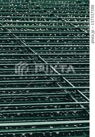 Metal grille with water droplets glistening. Rainy atmosphere, perfect for urban or industrial themes. Suggests freshness, renewal, or quiet moments. Ideal for backgrounds, mood boards, or design 137337386