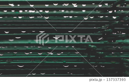 Metal grille with water droplets glistening. Rainy atmosphere, perfect for urban or industrial themes. Suggests freshness, renewal, or quiet moments. Ideal for backgrounds, mood boards, or design Metal grille with water droplets glistening. Rainy atmosphere, perfect for urban or industrial themes. Suggests freshness, renewal, or quiet moments. Ideal for backgrounds, mood boards, or design 137337393