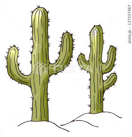 Growing cactus. Wild desert plant color drawing Growing cactus. Wild desert plant color drawing 137337467