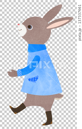 Cute rabbit Cute rabbit 137337661