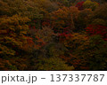 紅葉して錦色に染まった山 137337787
