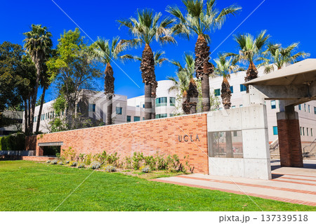 アメリカ UCLA(カリフォルニア大学ロサンゼルス校) アメリカ UCLA(カリフォルニア大学ロサンゼルス校) 137339518