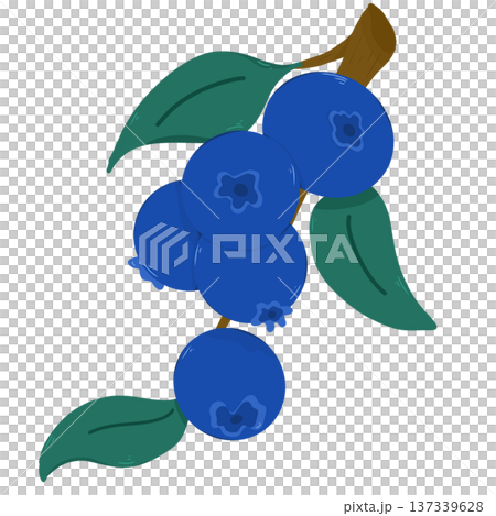Blueberry Blueberry 137339628