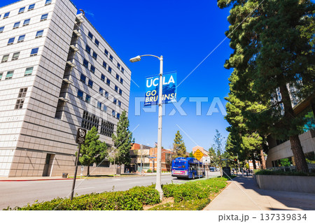 アメリカ　UCLA（カリフォルニア大学ロサンゼルス校） 137339834