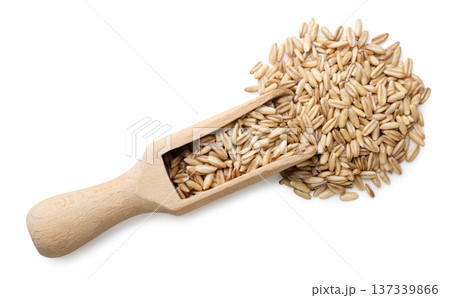 Oat grains seeds spilled out of the wooden spatula on a white. Top view Oat grains seeds spilled out of the wooden spatula on a white. Top view 137339866