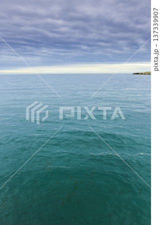 Coastal landscape with cliffs in Peninsula Valdes, World Heritage Site, Patagonia Argentina 137339907