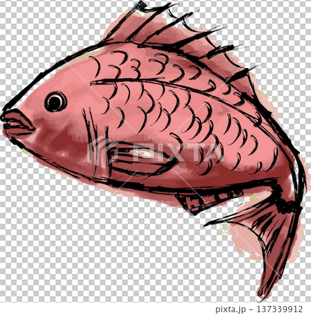 Hand-drawn ink illustration of a jumping sea bream 137339912