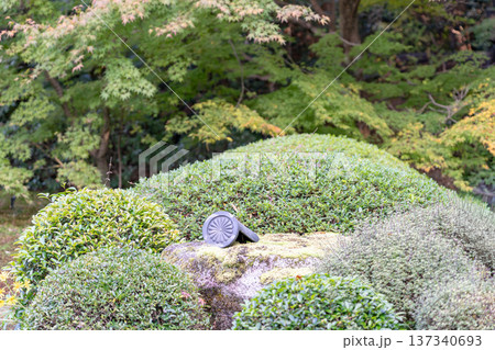 京都　東山泉涌寺別院　雲龍院（瑠璃山）　境内中庭の景色（大輪の間からの眺め） 137340693