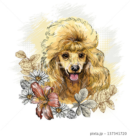 Poodle dog in flowers hand drawn vector illustration Poodle dog in flowers hand drawn vector illustration 137341720