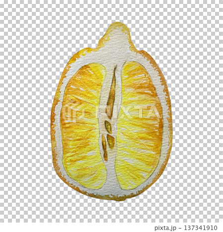Watercolor illustration of a half lemon in yellow tones. Illustration for drink packaging, menus, culinary design, cosmetics branding, detox products and summer layouts. Watercolor illustration of a half lemon in yellow tones. Illustration for drink packaging, menus, culinary design, cosmetics branding, detox products and summer layouts. 137341910